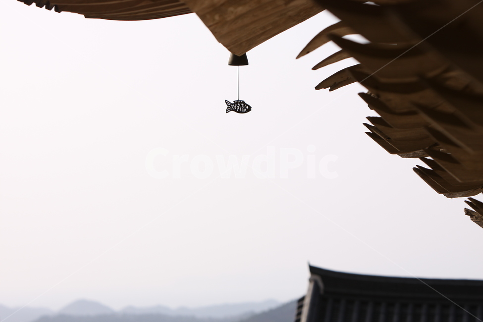 절,사찰,해남,풍경,물고기문양,전통,미황사,한국전통,한국문화,korean traditional,korean culture,종교,신앙,religion,belief,faith,건축물,건물외관,exterior,building,structure,architecture,construction