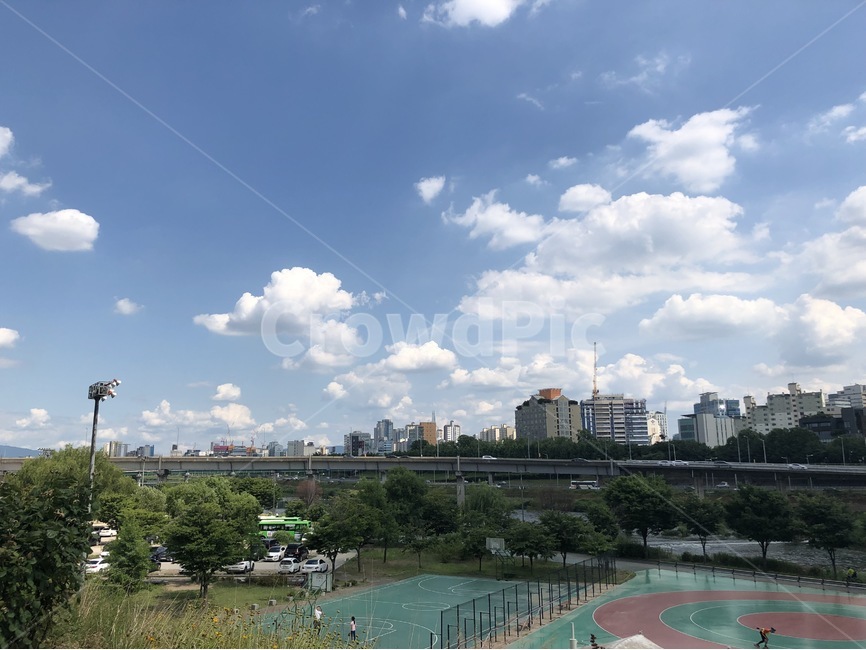 나무,하늘,식물,자연,공원,넓은공원,청계천,plants,nature,cloud,구름,도심