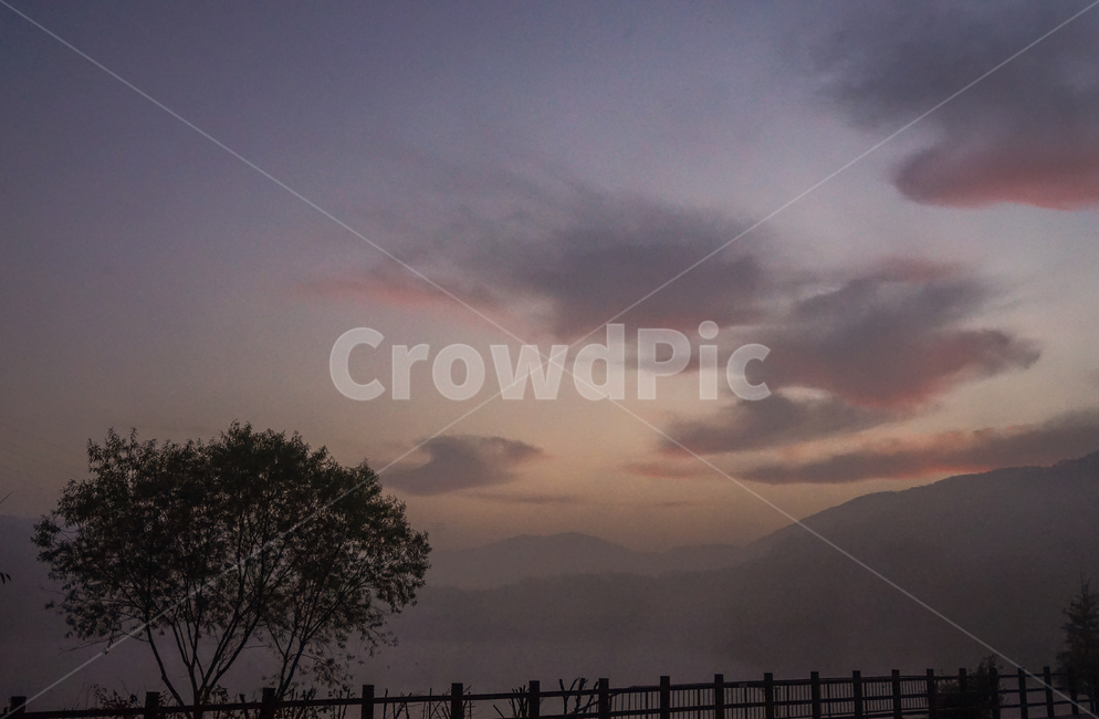 일출,여명,호수,나무,산,구름,하늘,안개,물안개,자연,풍경,nature,landscape,outdoors,옥외