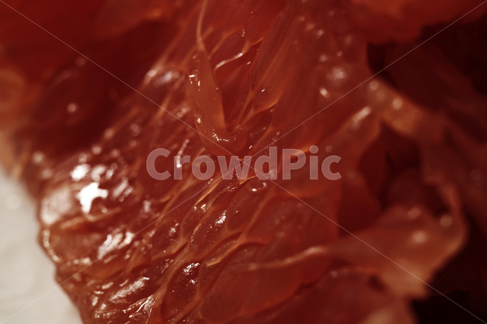자몽,과일,과즙,알갱이,그레이프프루트,grapefruit,미국,비타민c