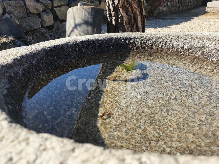 돌,물,고인물,이파리,비침,stone,한국적,정적,고요한,calm,정원