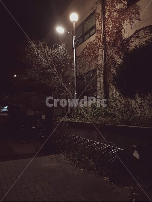 저녁,밤,가로등,어두운,불빛