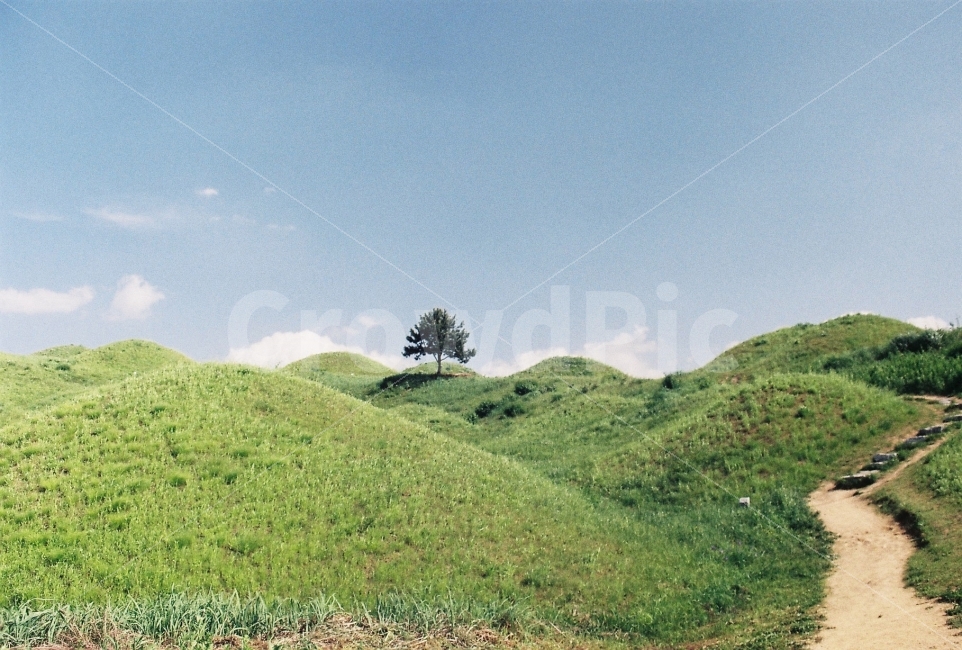 고분,고분군,들판,잔디,불로동고분군,필름사진,자연,풍경,nature,landscape,field,들,outdoors,옥외,grassland,목초지