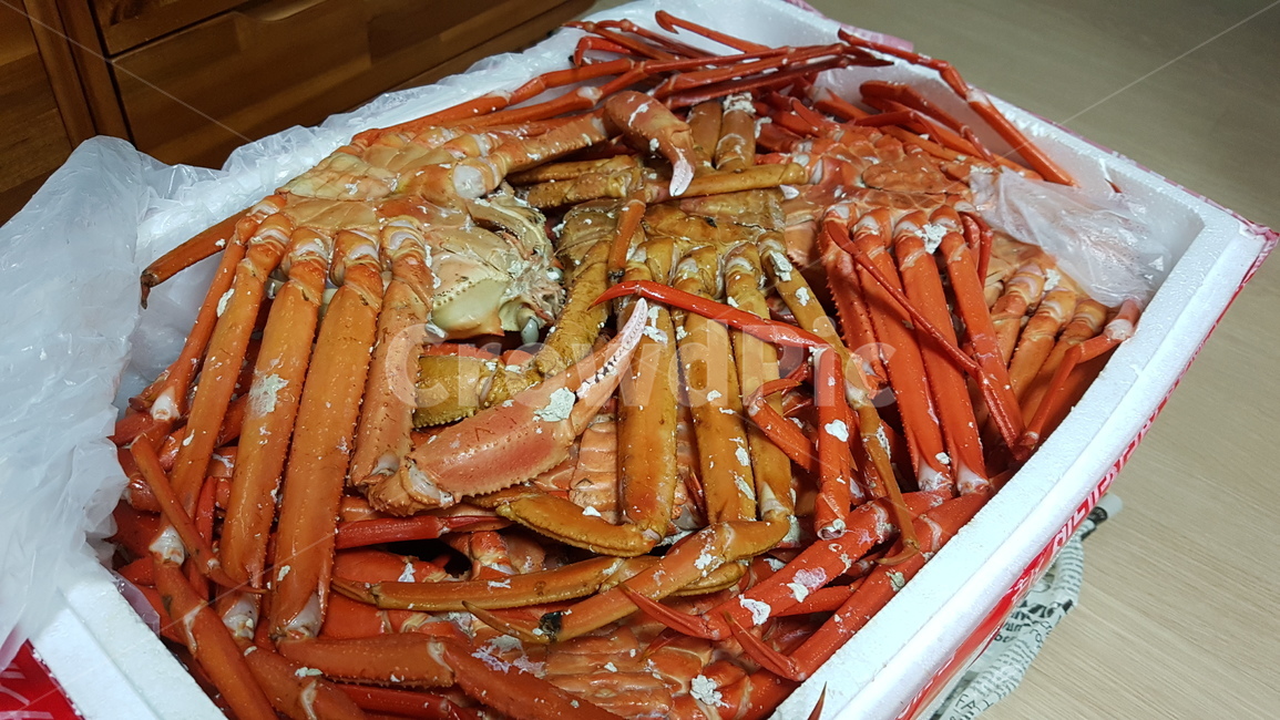 대게,대게찜,제철,포항,음식,찜,한식