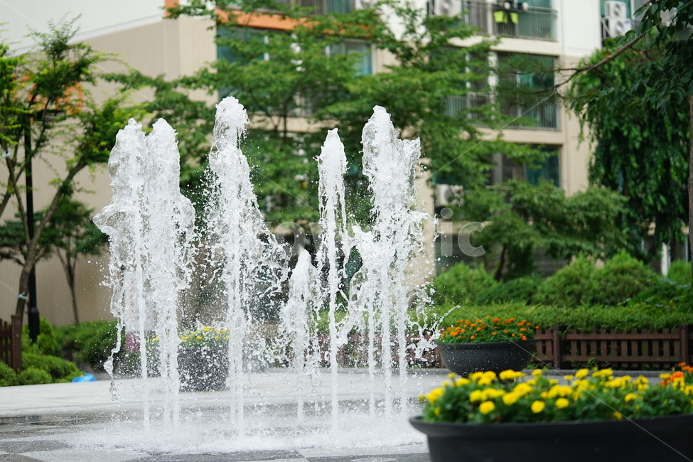 분수,물,물줄기,여름,계절,water,순간,순간포착,더위,summer,여름,계절,summer,season