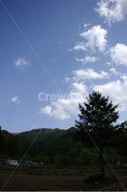 하늘,구름,산,풍경,나무,nature,자연,outdoors,옥외