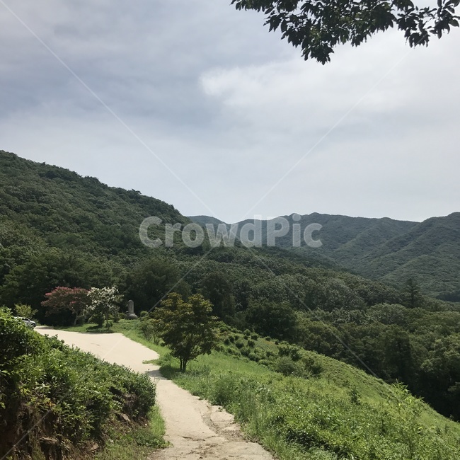 자연,nature,나무,풍경,산