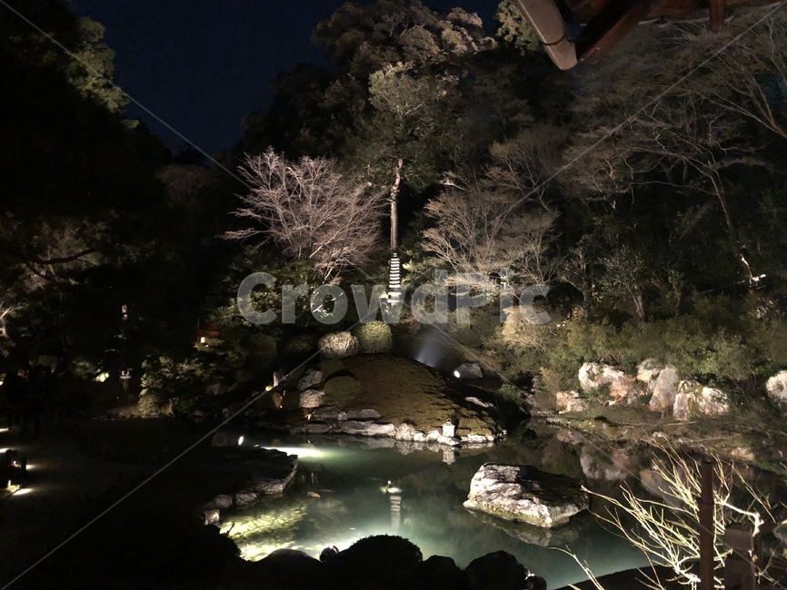 nature,자연,outdoors,옥외,호수,야경,배경화면,불빛,반사,연못,배경사진