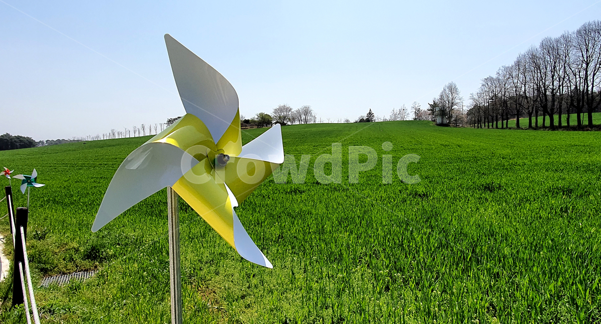 pinwheel,green,Gochang,windmill,grassland,green barley,green barley field,field,flapper,wind