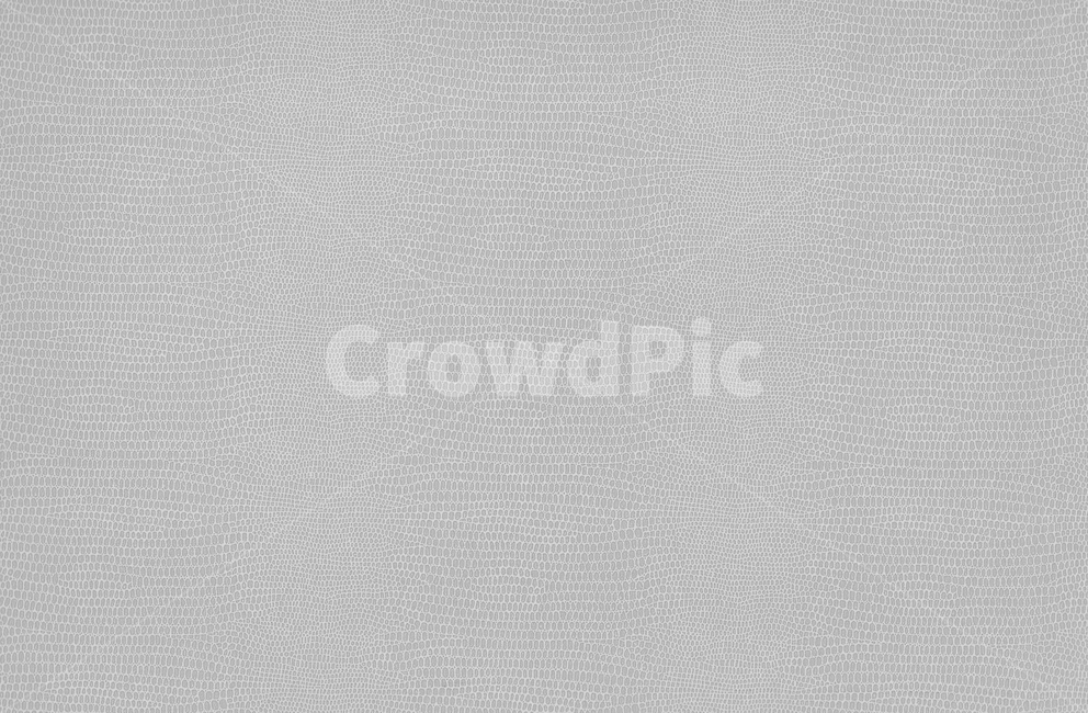 crocodile,gray,texture,Crocodile pattern,pattern,animal,leather