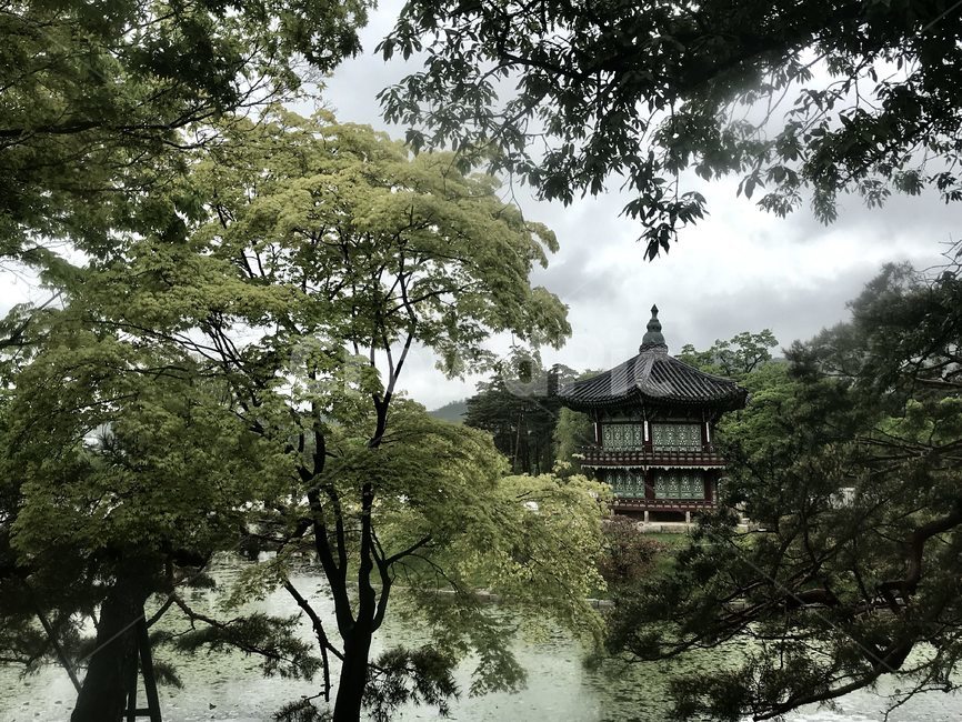outdoors,옥외,경복궁,흐림,비,기와,건축물,나무,식물,신전,temple,architecture,building