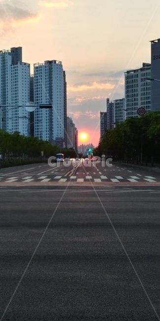 도시,도로,해,저녁,태양,노을,도시,풍경,city,landscape,road,asphalt,아스팔트,intersection,교차로