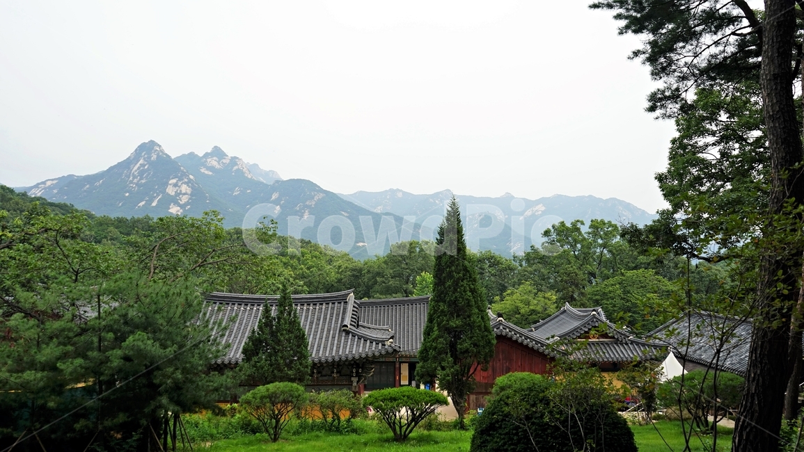 사찰,자연,나무,숲,산,북한산,한국전통건축,기와,비구니,도량,종교,불교,기와지붕,전통건축,기와집,지붕,전통,한옥,패턴,배경,전통적인,한국의,construction,한국전통,한국문화,koreantraditional,koreanculture,건축물,건물외관,exterior,building,structure,architecture,한국전통,한국문화,korean traditional,korean culture