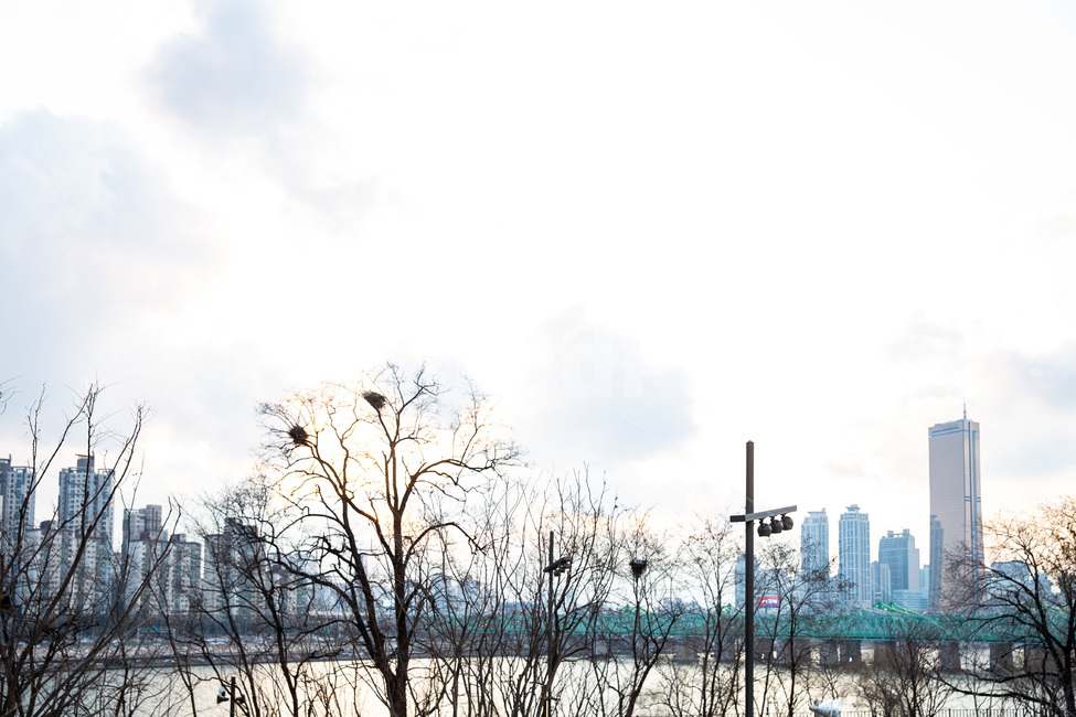 nodeulisland,naturalsceneryofnodeulisland,hanriverbridge,seoul,스카이라인,저녁풍경,나무