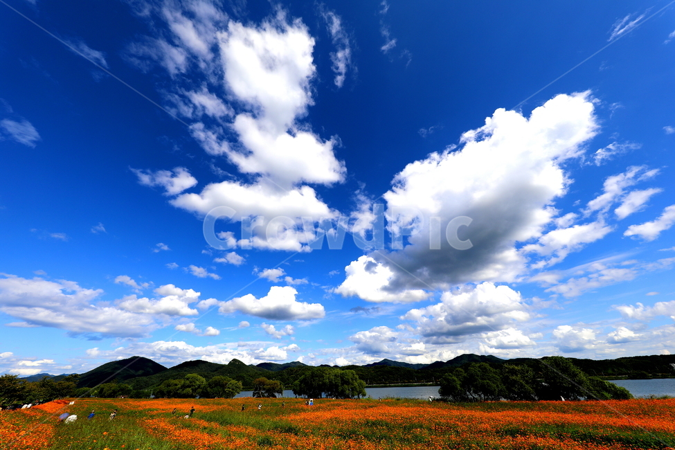 풍경,계절,가을,호수,강,가을,계절,fall,autumn,season,자연,풍경,nature,landscape,outdoors,옥외,weather,날씨,sky,하늘,azure sky,푸른 하늘,cumulus,적운,cloud,구름