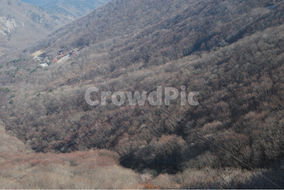 자연,산,휴양지,탐방로,등산로,겨울,계절,winter,season,자연,풍경,nature,landscape,한국자연풍경,한국자연경관,korea nature landscape,outdoors,옥외
