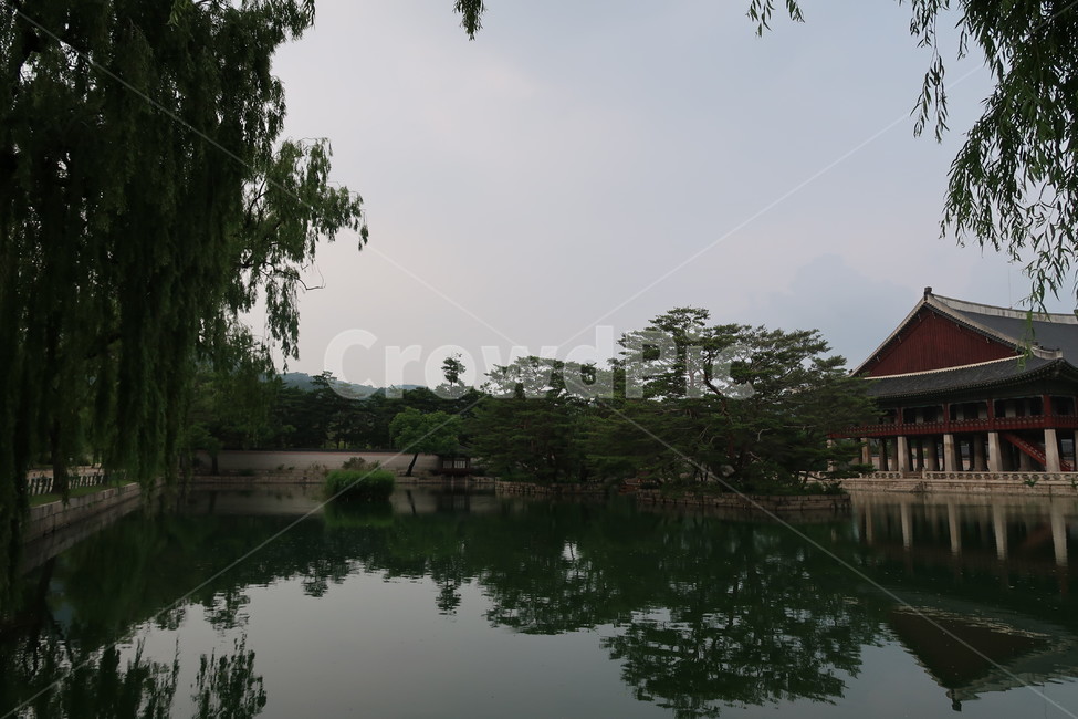 경복궁,한국,전통,동양풍,건물,자연,컬러,gyeongbokgungpalace,korea,traditional,orientalstyle,buildings,nature,tree,plant,stone,color,조선시대,궁궐,한국전통,한국문화,korean traditional,korean culture,랜드마크,landmark,tourist attraction,한국랜드마크,한국관광지,한국명소,korea landmark,korea tourist attraction