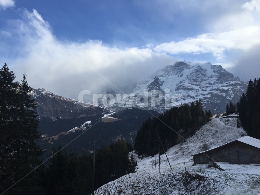 얼프스,알프스산맥,융프라우,스위스,인터라켄,융프라우알프스,융프라우철도,jungfrau,jungfraurailway,switzerland,alps,bernesealps,interlaken,fiesch,피에쉬,겨울,계절,winter,season,자연,풍경,nature,landscape,해외,외국,세계,foreign,oversea,world,세계자연풍경,해외자연풍경,외국자연풍경,world nature landscape,mountain,산,outdoors,옥외,ice,빙,abies,아비,tree,나무,plant,식물,fir,전나무,mountain range,산맥