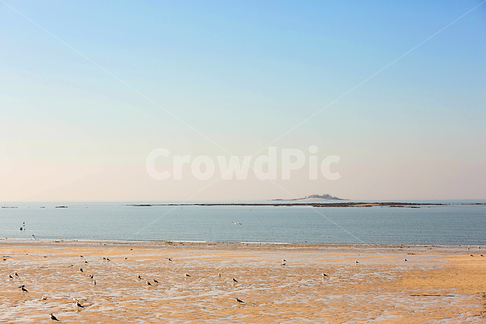 바다,대천,일출,해변,아침바다,해변,바다,beach,sea