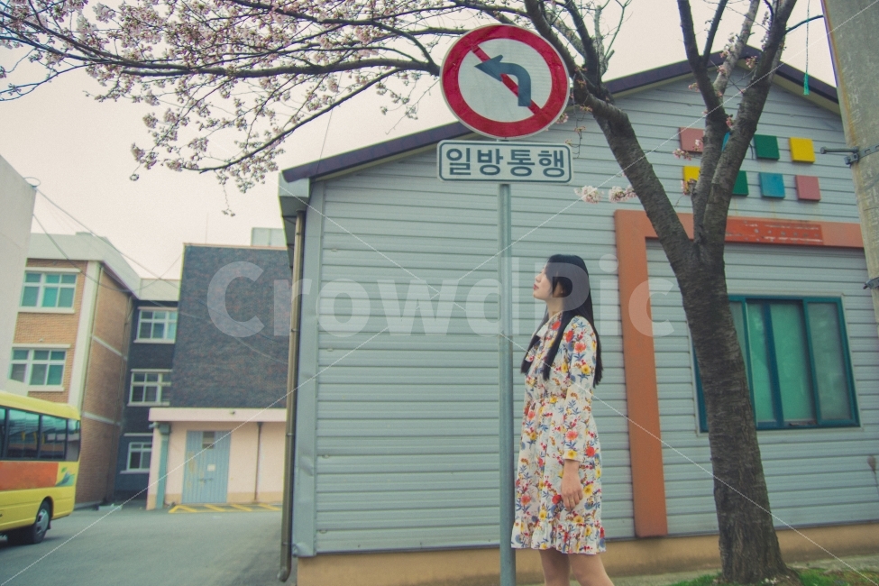 연출,감성사진,학교,교통,인물사진,사람,봄,가을,봄,계절,spring,season,사람,인물,인간,human,person,여성,여자,woman,female,lady,고독함,외로움,쓸쓸함,우울함,슬픔,lonely,solitary,감성,sensible,feeling,색깔,색상,색채,색감,color sense,color sensitivity,feeling of color,연출,컨셉,콘셉,direction,concept,transportation,bus,버스,vehicle,차량