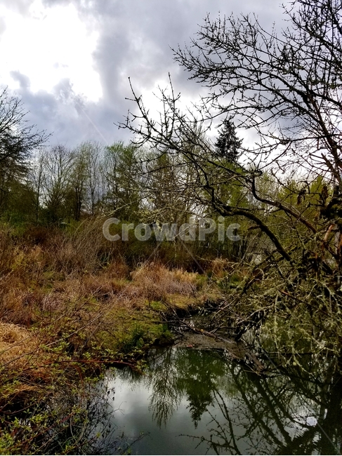 nature,자연,water,물,outdoors,land