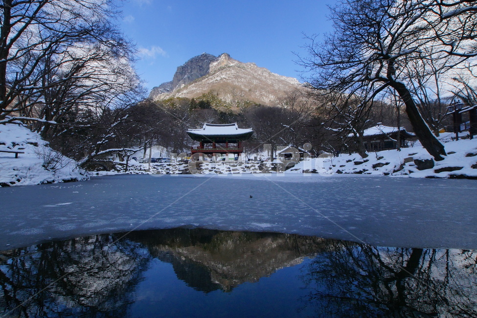 내장산,백양사,쌍계루,설경,국립공원,겨울,계절,winter,season,자연,풍경,nature,landscape,한국자연풍경,한국자연경관,korea nature landscape