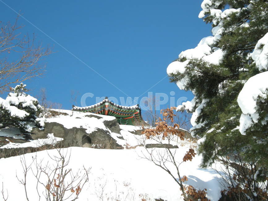 불암정,불암산,눈,폭설,눈꽃,겨울,설화,팔각정,등산,snow,winter,mountain,나무,architecture,건축물,building,건물,temple,신전