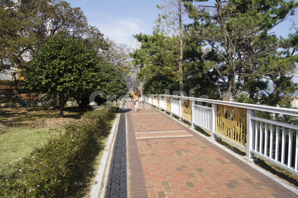 railing,path,난간,handrail,banister