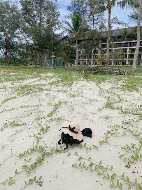 해변,자연,모래,nature,sand