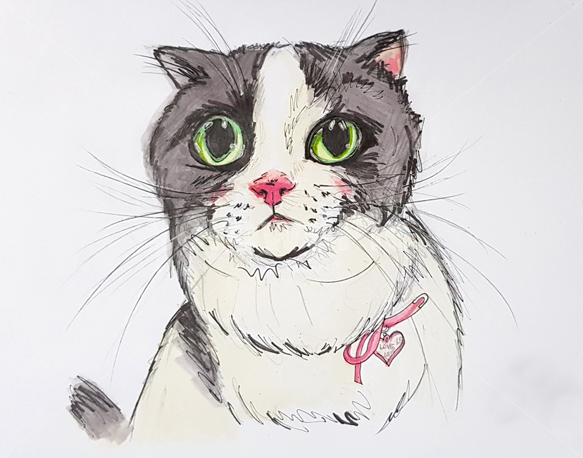 고양이그림,반려묘그림,그림,일러스트,고양이,미술,고양이일러스트,고양이스케치