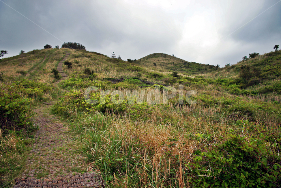 갑마장길,제주도,표선면,가시리,트레일,오름,따라비오름,탐방로,자연,풍경,nature,landscape,제주도,jeju,jeju island