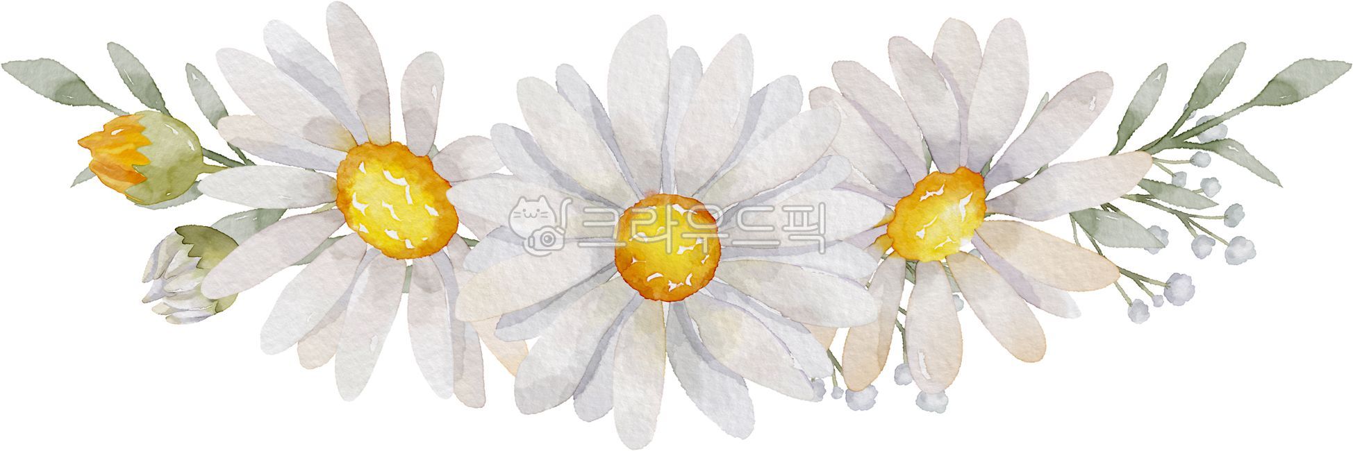 데이지,데이지꽃,꽃일러스트,데이지일러스트,수채화,일러스트,봄,봄꽃,식물,꽃,보테니컬,화사한,야생화,들꽃,꽃송이,잎,잎사귀,꽃그림,봄그림,수채화그림,플라워,꽃장식,daisy,flower,흰색,흰색꽃,흰색데이지