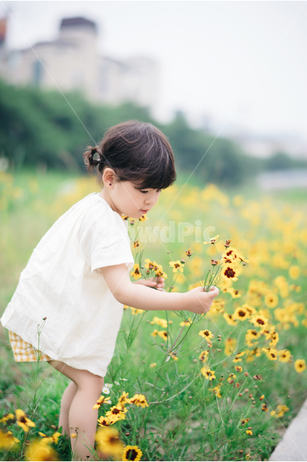 아이,어린이,키즈,kids,딸,딸바보,딸사랑,딸사진,인물사진,순수,식물,자연,plants,nature,꽃,flower,사람,인물,인간,human,person,어린이,어린아이,child,children,kid,감성,sensible,feeling