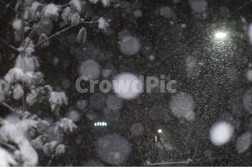 눈,야경,보케,밤,겨울,풍경,겨울,계절,winter,season,자연,풍경,nature,landscape,storm,폭풍,snow,blizzard,눈보라,outdoors,옥외