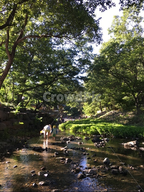 흐름,stream,작은만,creek,옥외,water,물,nature,자연,outdoors,계곡,뒷모습,엄마와아이,mom,여름,summer,child,물놀이