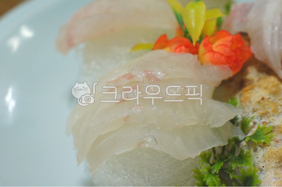 돗돔,돗돔회,damselfish,coralfish,sushi,스시,사시미,sashimi,rawfish,chromisnotata,pearlspotchromis,회