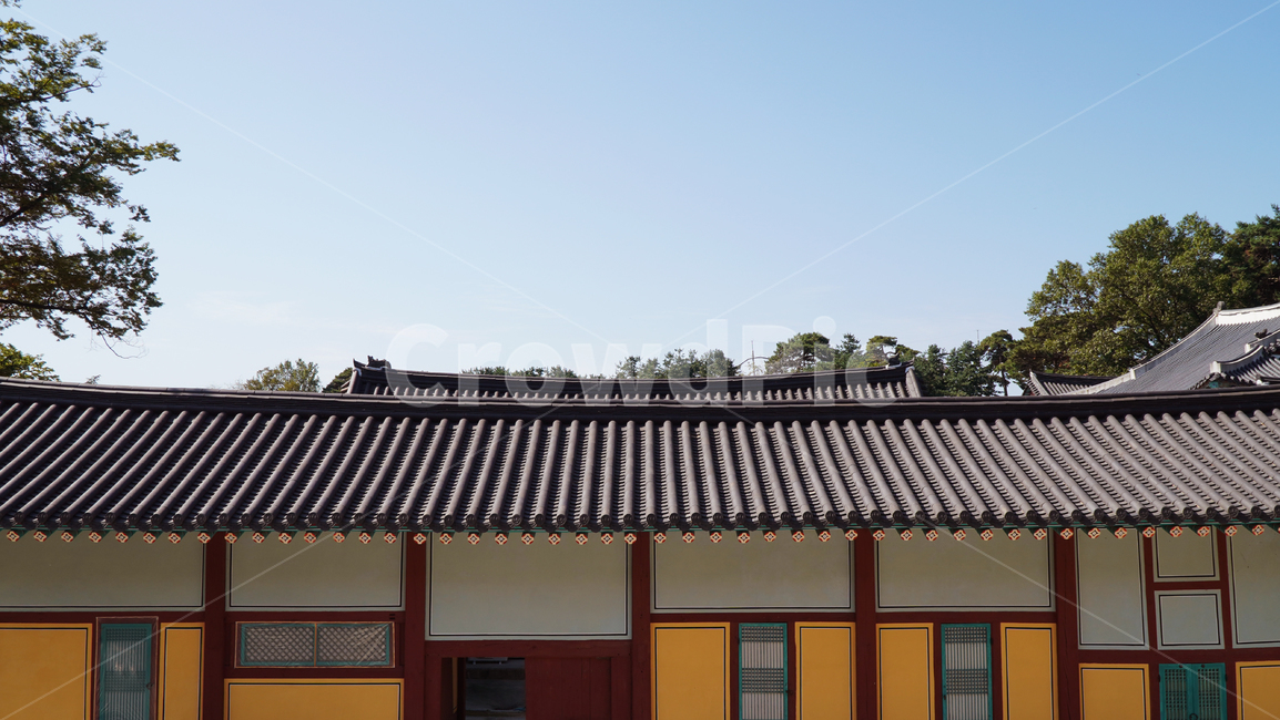 roof,지붕,기와,하늘,전통,문화,유산,한국,창문,나무,빛,한국전통,한국문화,korean traditional,korean culture,건축물,건물외관,exterior,building,structure,architecture,construction