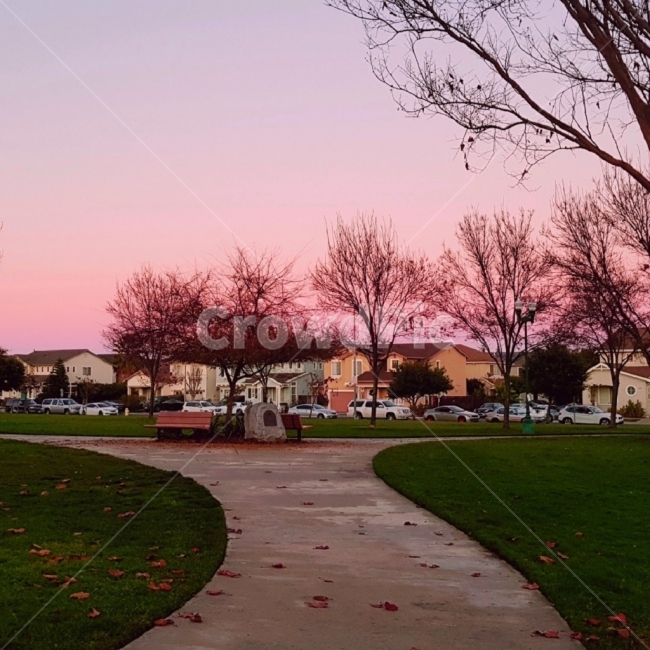 하늘,분홍색하늘,sky,pinksky,풍경,미국,america,캘리포니아,california,공원,park,도시,풍경,city,landscape,해외,외국,세계,foreign,oversea,world,세계도시풍경,해외도시풍경,외국도시풍경,world cityscape,grass,잔디,plant,식물