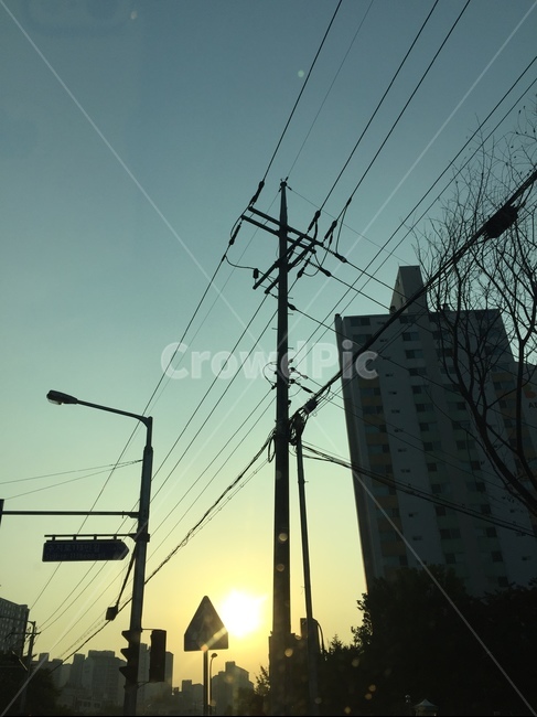 신호등,도심,아파트,전봇대,전신주,signal,light,apartment