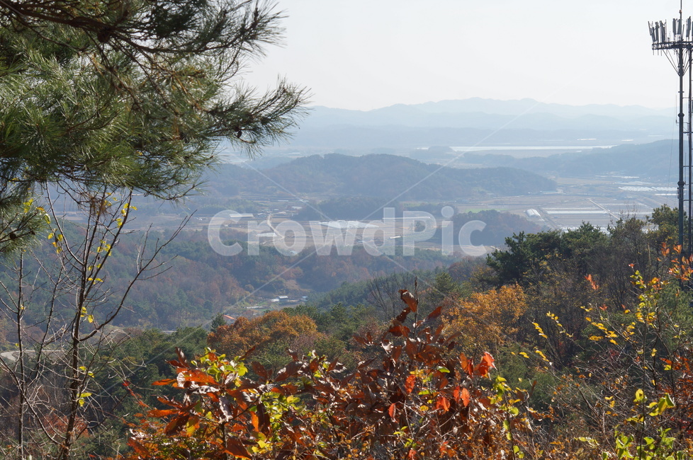 성흥산성,가림성,부여,자연,산,나무,힐링