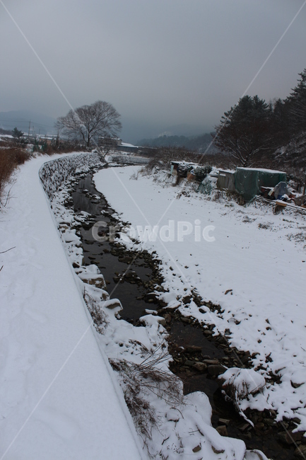 겨울,겨울풍경,눈,분위기,snow,겨울아침,시골풍경,한겨울,snowing,풍경,자연,landscape,계절,색감