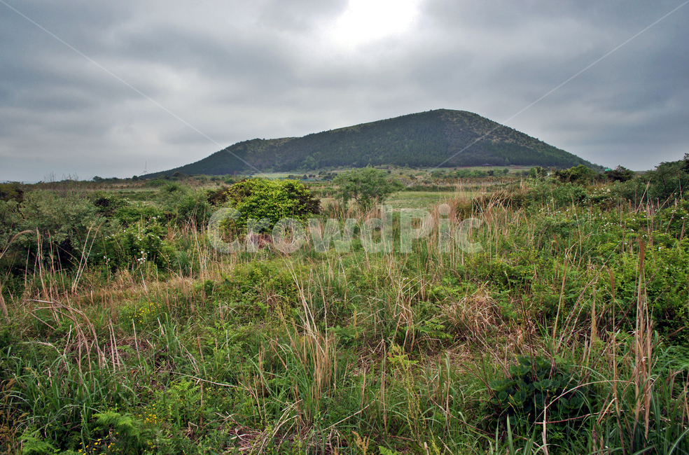 갑마장길,제주도,표선면,오름,따라비오름,기생화산,가시리,자연,풍경,nature,landscape,제주도,jeju,jeju island