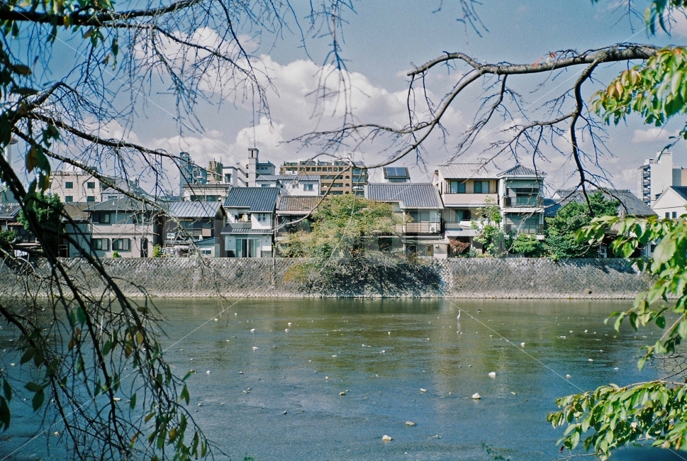 일본,교토,강,나무,주택,집,필카,필름카메라,감성,하늘,구름,도시,풍경,city,landscape,해외,외국,세계,foreign,oversea,world,세계도시풍경,해외도시풍경,외국도시풍경,world cityscape,감성,sensible,feeling,water,물,outdoors,옥외,nature,자연