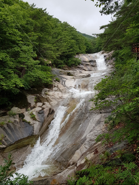 폭포,여름,비,숲,관광