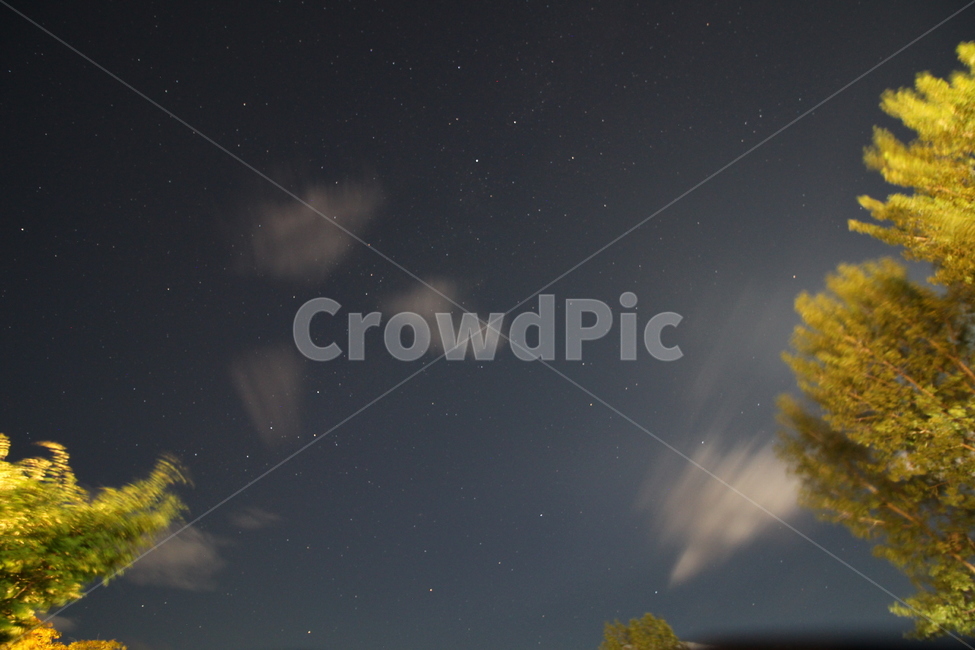 야경,별,풍경,나무,숲,구름,하늘,별사진,은하수,자연,풍경,nature,landscape,야경,밤,nightscape,night,outdoors,옥외
