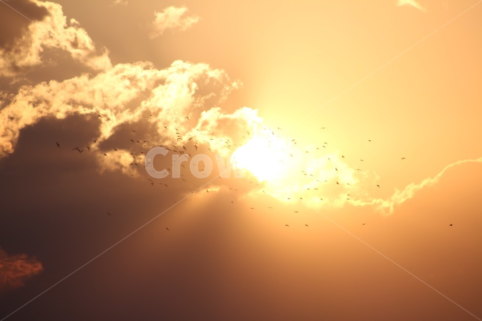 일출,해,산,sunrise,아침,새해,자연,풍경,nature,landscape,flare,플레어,light,빛