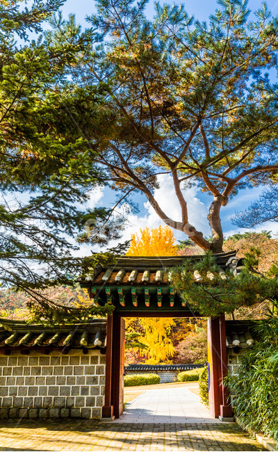 현충사,가을,풍경,단풍,구름,감성,가을,계절,fall,autumn,season,한국전통,한국문화,korean traditional,korean culture,식물,자연,plants,nature,나무,trees,wood