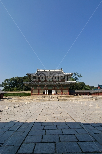 인정전,창덕궁,국보,궁,고궁,궁궐,전통,한국,한국전통,전통건축,건축,건축물,전통건축물,서울,명소,명승지,관광지,여행,여행지,문화재,품계석,마당,바닥,한옥,한국전통,한국문화,korean traditional,korean culture,랜드마크,landmark,tourist attraction,한국랜드마크,한국관광지,한국명소,korea landmark,korea tourist attraction