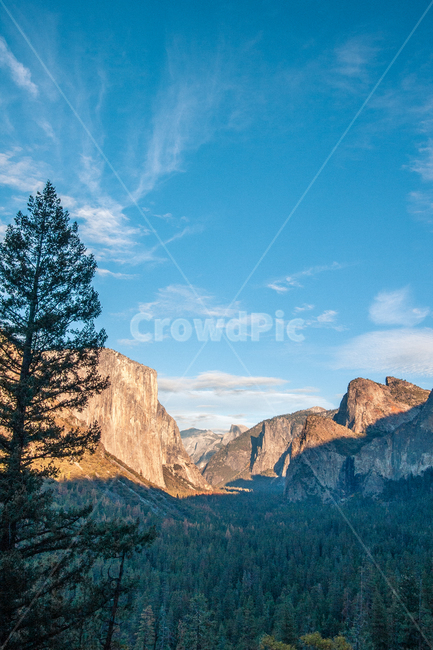 tree,나무,산,자연,미국,캘리포니아,요세미티,풍경,usa,california,yosemite,자연,풍경,nature,landscape,해외,외국,세계,foreign,oversea,world,세계자연풍경,해외자연풍경,외국자연풍경,world nature landscape