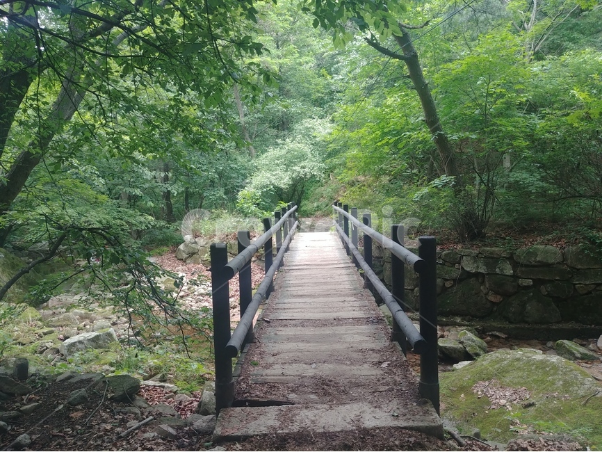 숲속다리,도랑위의다리,다리,bridge,나무다리,timberbridge,자연,풍경,nature,landscape